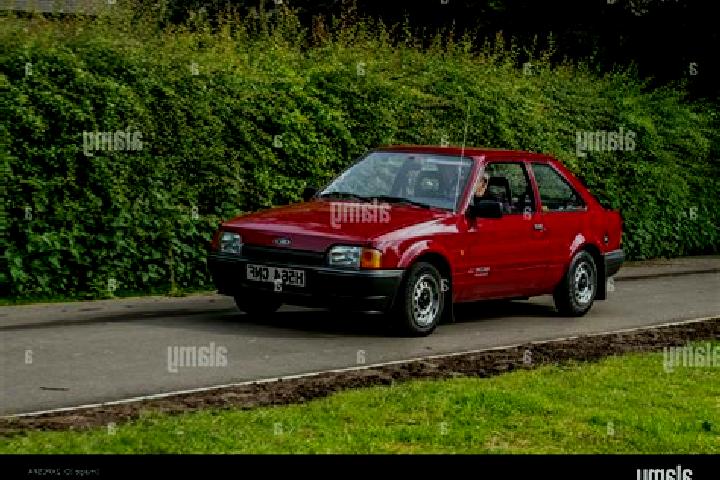escort Elstead