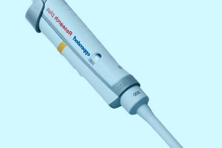 escort Eppendorf