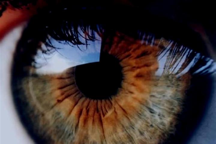 escort Floss