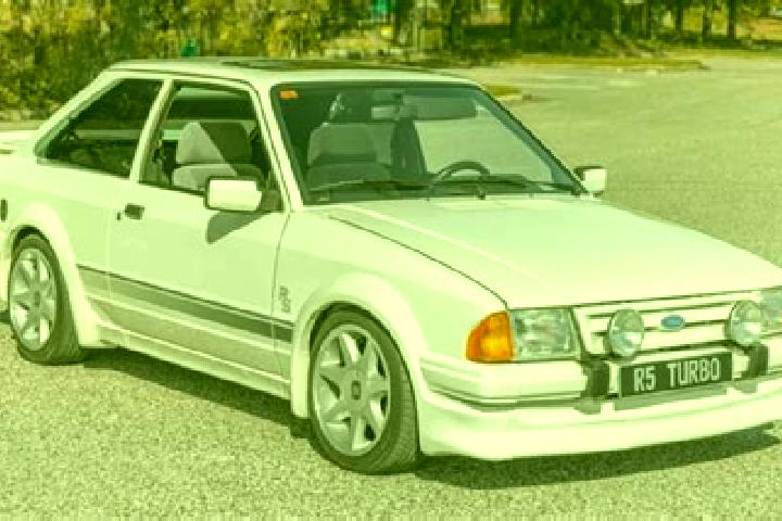escort Gorodi