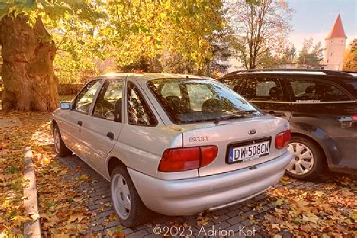 escort Grossweitzschen