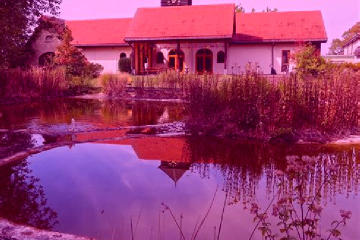 escort Hubbards
