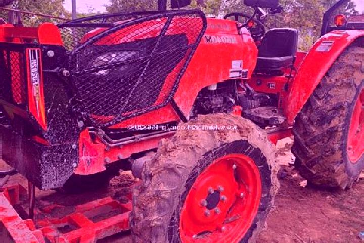 escort Jerecuaro