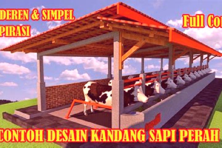 escort Kandangsapi