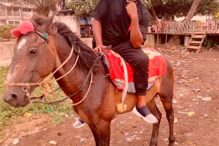 escort Limbe