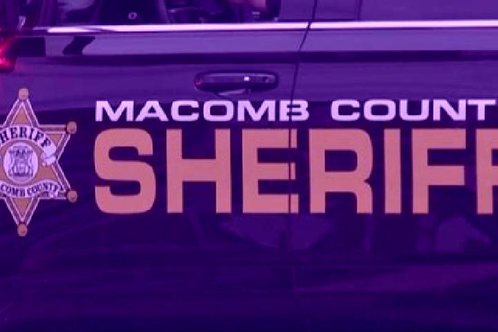 escort Macomb