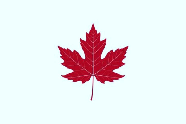 escort Maple Leaf