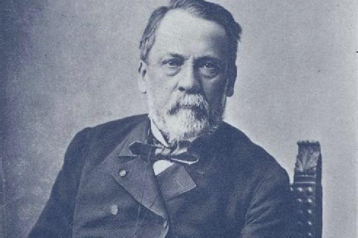 escort Pasteur