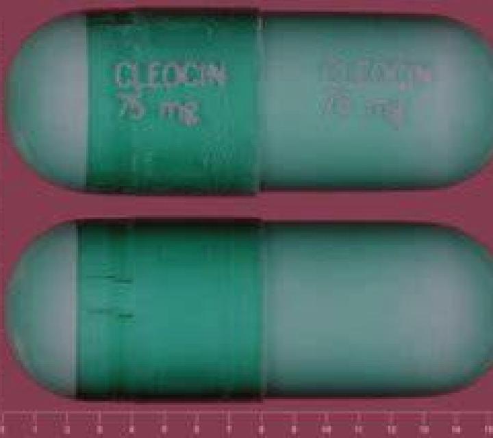 escort Phamong