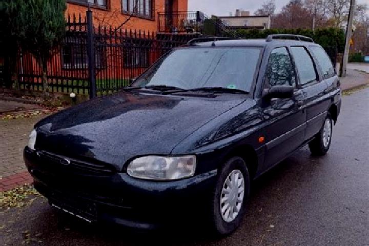 escort Pleszew