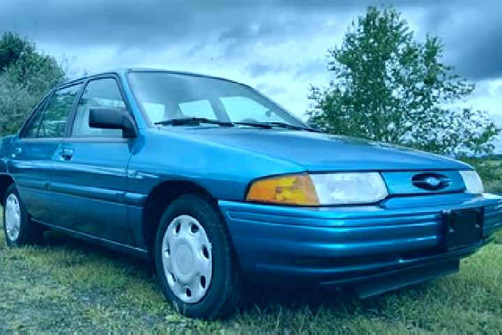 escort Raupunga