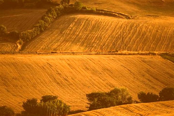escort Rolling Fields