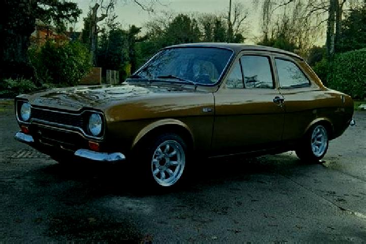 escort Selwerd