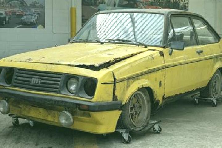 escort Shelleng