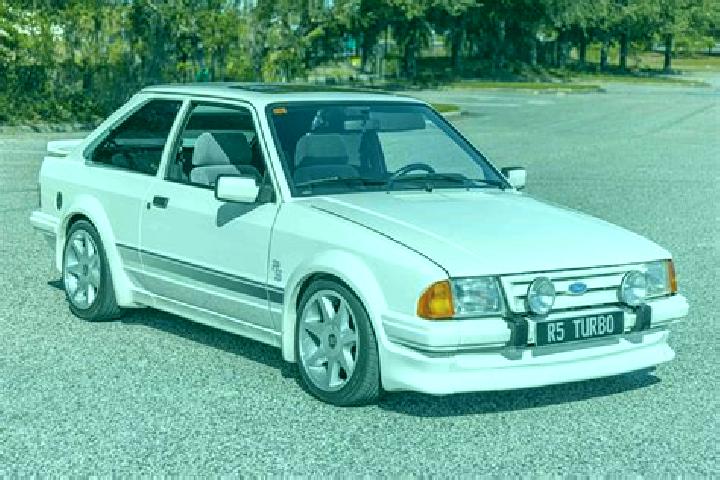 escort Spitz