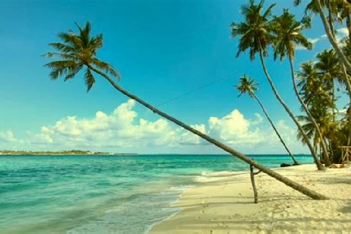 escort Thulusdhoo