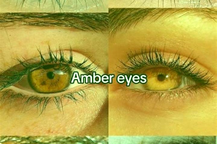 escort Veitsrodt