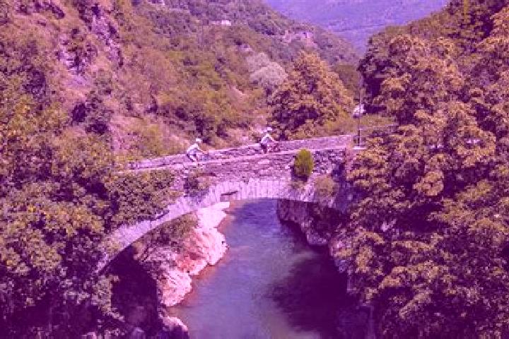 escort Vezza d Alba