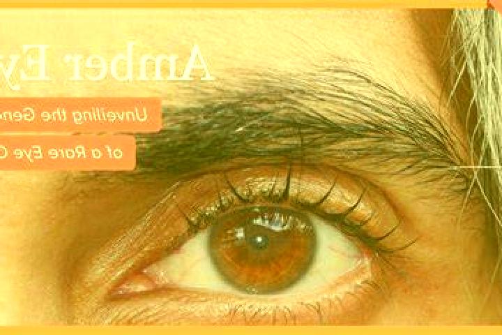 escort Vintu de Jos