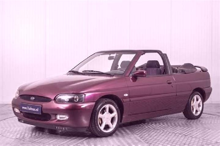 escort Viola