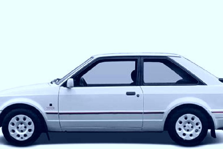 escort Willcox