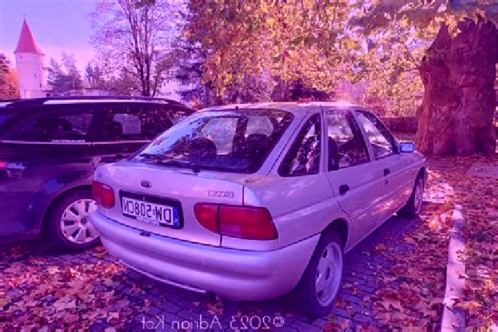 escort Wiselka