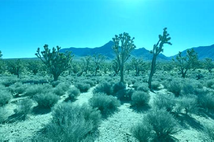 Escorts Brokohio, Ivory Coast — Local Companions