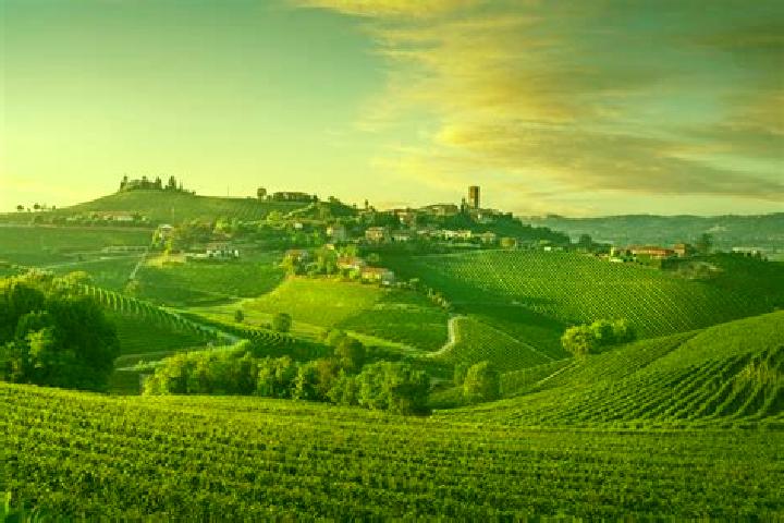 Escorts Diakoro, Ivory Coast — Local Companions