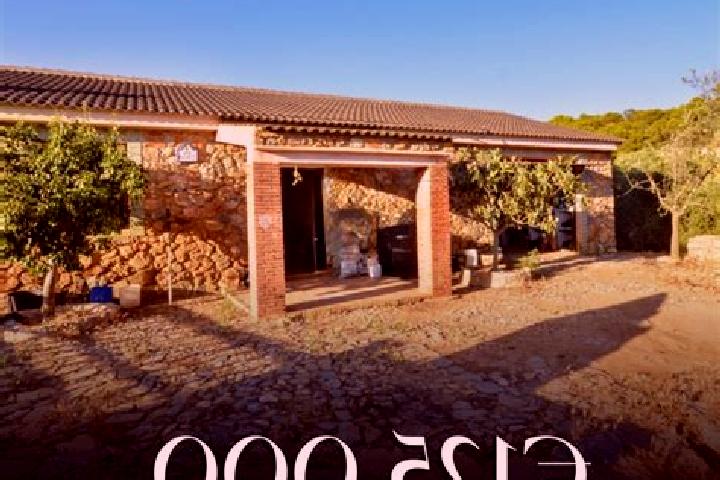 Escorts Jestetten, Germany — Local Companions