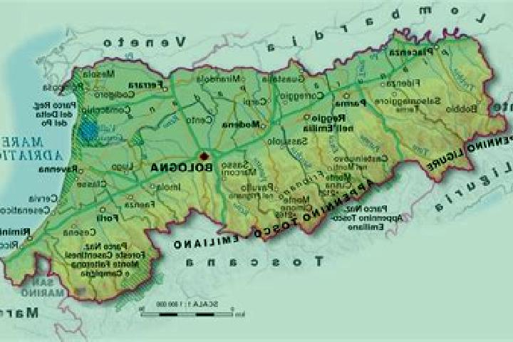 Escorts Jetalsar, India — Local Companions
