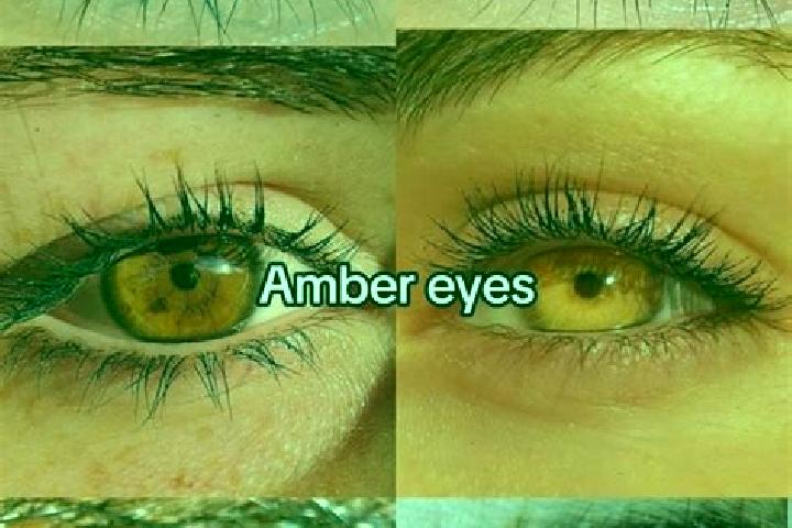 Escorts Napana, Mexico — Local Companions