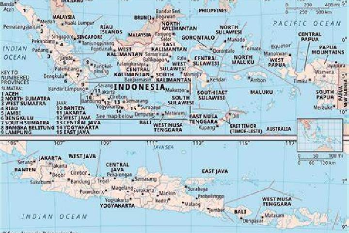 Escorts Naugatuck, United States — Local Companions