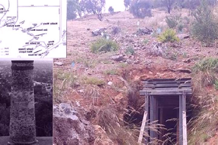 Escorts Phillip, Australia — Local Companions