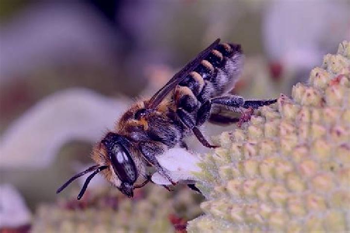 Escorts Quitilipi, Argentina — Local Companions