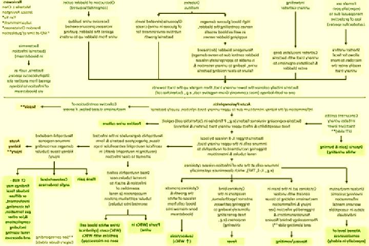 Escorts San Juan de Moro, Spain — Local Companions