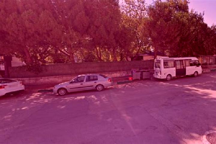 Escorts Shuangyashan, China — Local Companions