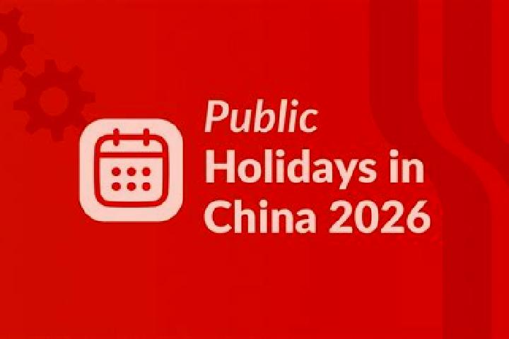 Escorts Sint Annaparochie, Netherlands — Local Companions