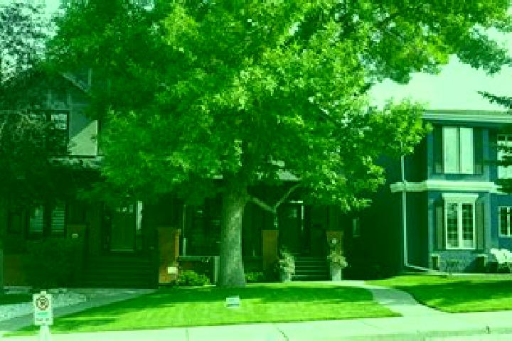 Escorts Vilankurichi, India — Local Companions