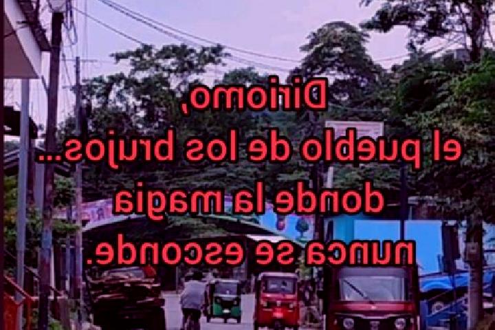 Escorts Vinkkilae, Finland — Local Companions