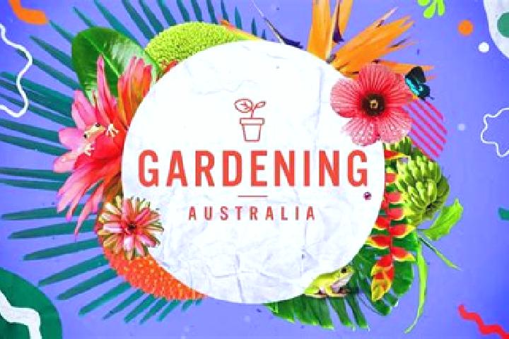 Eva, 24 — Escort in Bairnsdale, Australia
