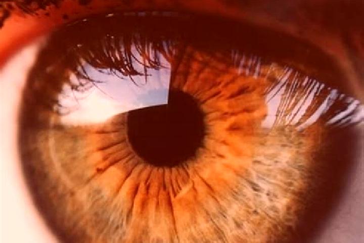 Eva, 26, a brunette hazel-eyed caribbean companion based in Ponornytsia. Offering OWO, Duos, Striptease, Domination, Fetish. Available for incall and outcall...