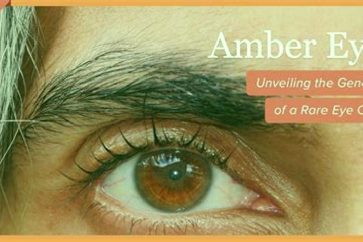 Evelyn, 24, a auburn amber-eyed caucasian companion based in Manolada. Offering Fetish, Roleplay, Massage, Dinner Date, 69. Available for incall and outcall,...