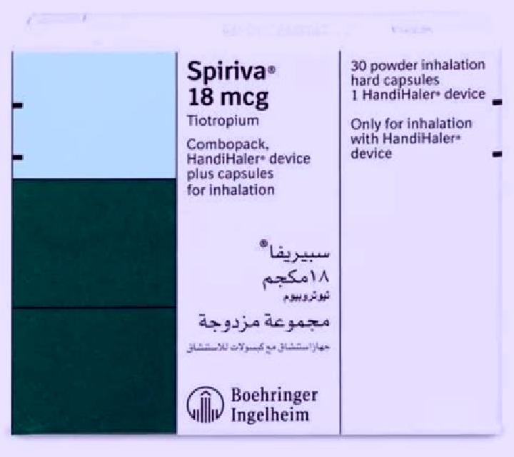 Evelyn, 32 — Escort in Talca, Chile