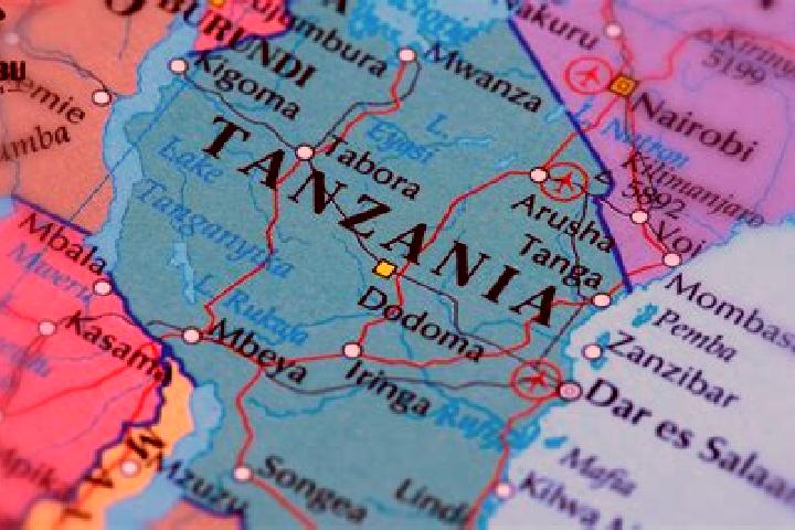 Grace, 37 — Escort in Cau Giat, Vietnam