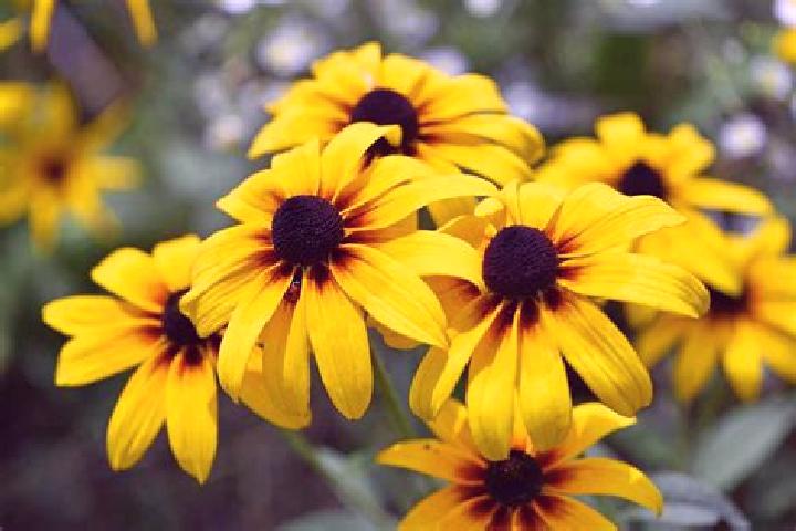 Harper, 23 — Escort in Patroaia Vale, Romania