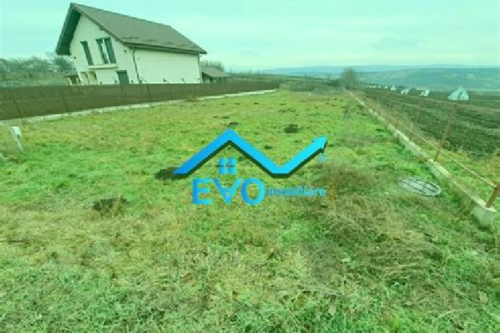 Harper, 35 — Escort in Sinyavskoye, Russia