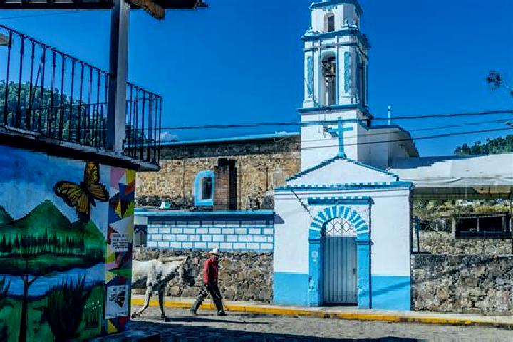 Hazel, 35 — Escort in Turrell, United States