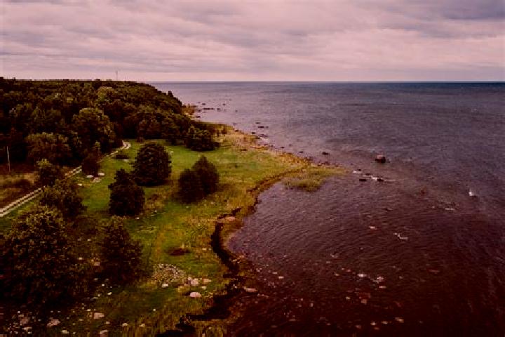 Iris, 35 — Escort in Henonville, France