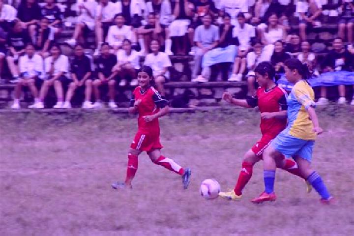 Iris, 39 — Escort in Sonnberg im Muehlkreis, Austria