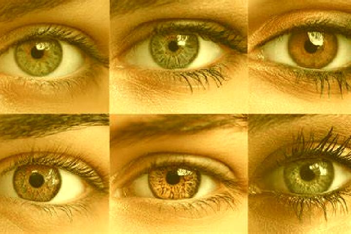 Isabella, 26, a brunette dark-eyed ebony companion based in Mt. Edward. Offering GFE, Travel Companion. Available for incall and outcall, overnight bookings ...